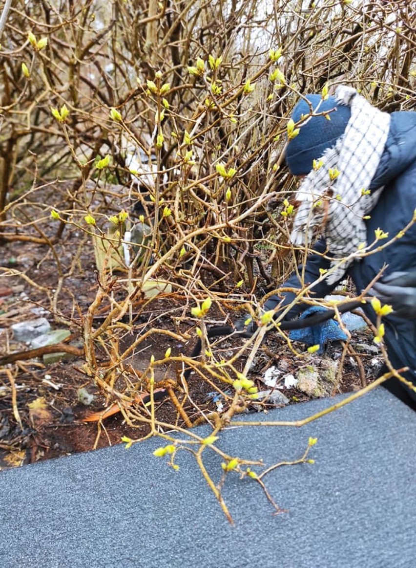 W Świnoujściu uprzątnęli miejsce dla wolnożyjących kotów