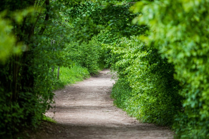 Park Gródek zachwyca. Warto wybrać się tutaj na...