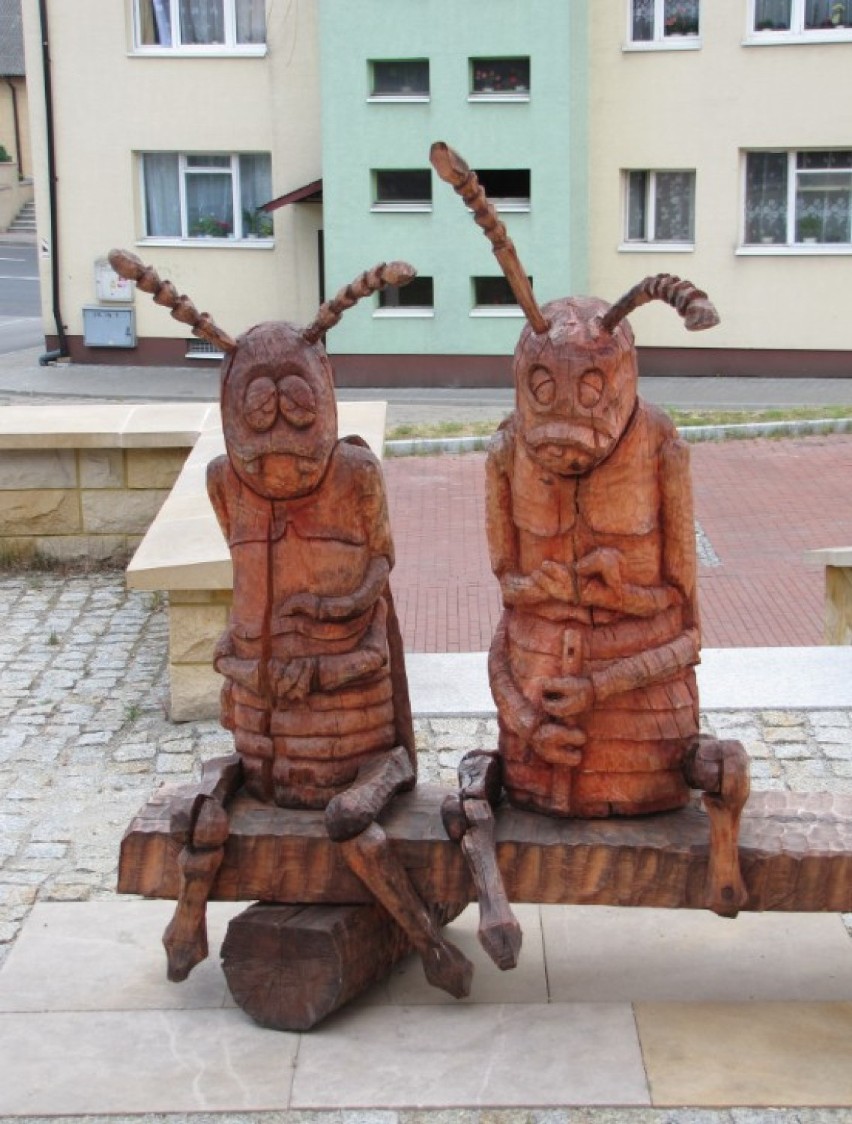"Święto chrząszcza" w Szczebrzeszynie...