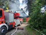 Pożar domu w Nowym Jastrzębsku. Jedna osoba straciła dach nad głową