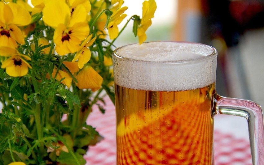 Osoby z chorobami wątroby: Piwo zawiera alkohol, który jest...