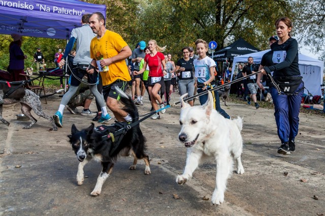 Warsaw Run Hau 2017. Szlachetna akcja. Pobiegli razem z bezdomnymi psami! [ZDJĘCIA]

Zobaczcie też: Praca opiekuna w zoo. Słonie reagują na "Trąba do góry!" czy "Podaj nogę!", ale bywają niebezpieczne