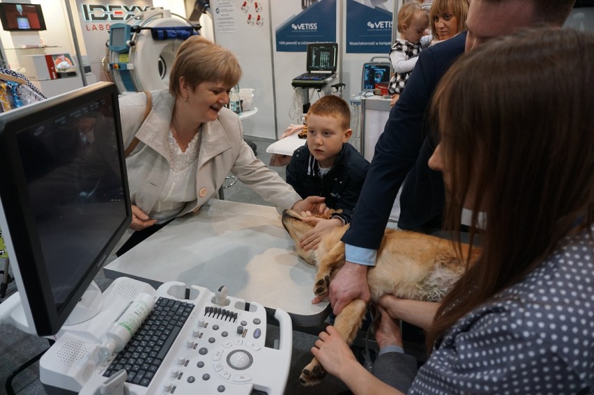 XII Targi Medycyny Weterynaryjnej Vetmedica w Łodzi /...