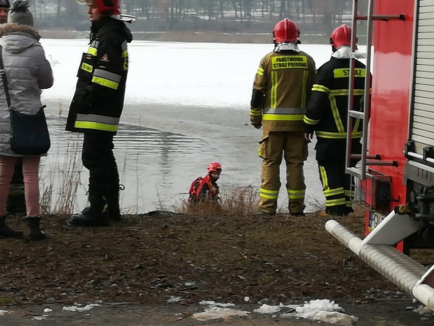 Strażacy poszukiwali psa pod wodą jeziora Jelonek