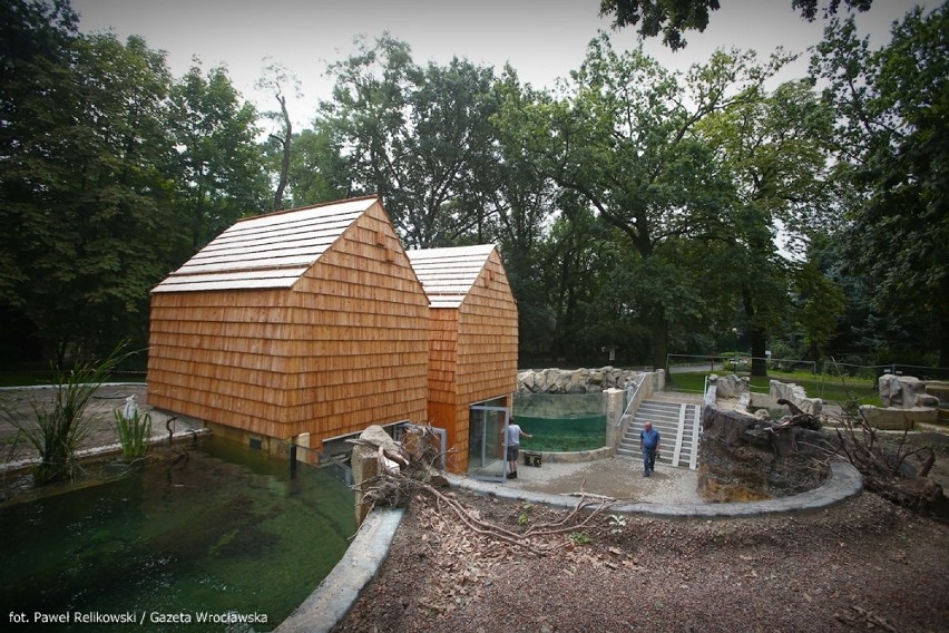 We wrocławskim Odrarium pływają już ryby, w Afrykarium też są pierwsi goście (ZDJĘCIA)