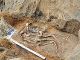 Odkryli ludzką czaszkę i kości pod Skokami