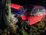 Dwa wypadki miały miejsce na terenie powiatu poddębickiego w miniony weekend ZDJĘCIA