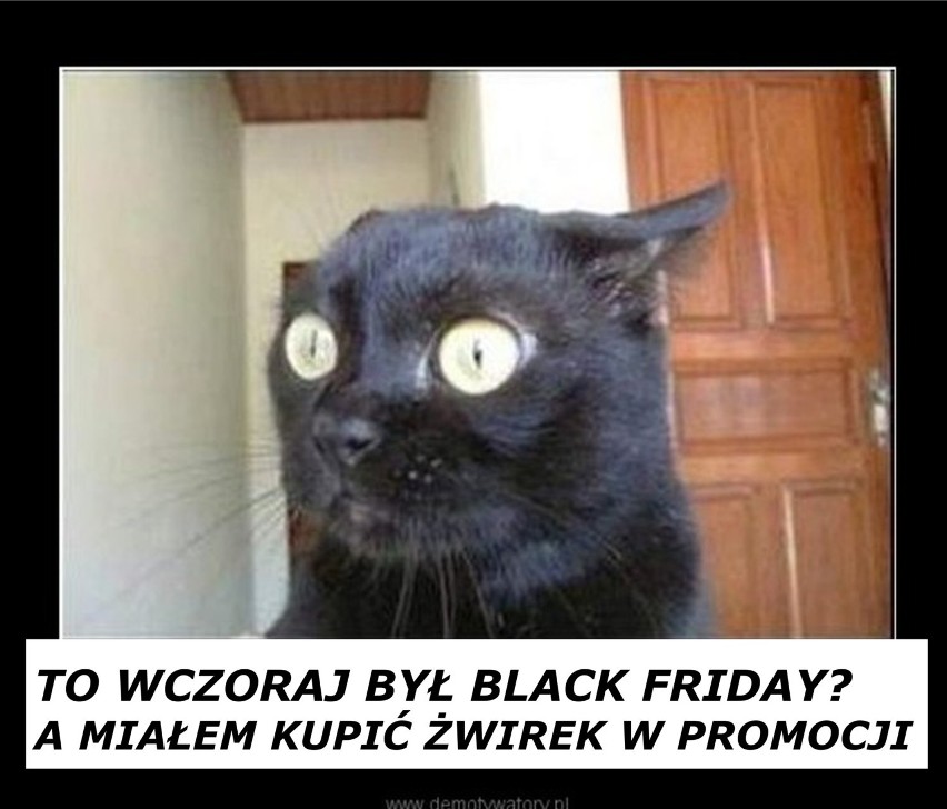 Dziś Black Friday... Oto MEMY z okazji gorączki zakupów