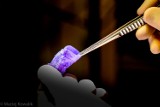 Specjaliści z GUMed badają bioimplanty z nanocelulozy. Sukces gdańskich naukowców 