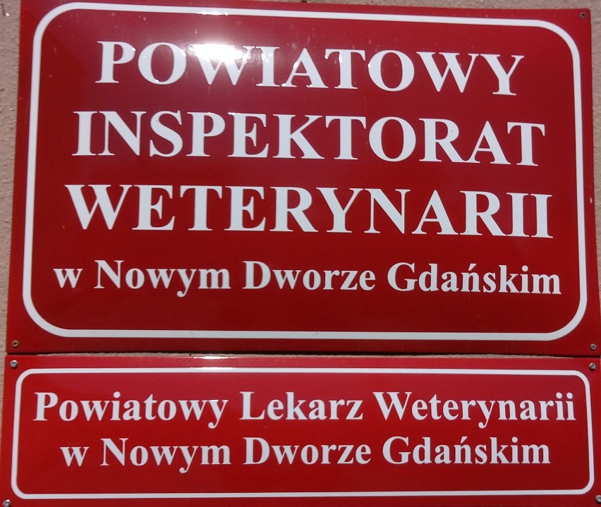 Czarny poniedziałek - protestują pracownicy Powiatowego Inspektoratu Weterynarii.