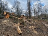 Gniezno. Rewitalizacja Wenecji. Radni zajrzeli do ZZM z niezapowiedzianą kontrolą. Jej efekty porażają!