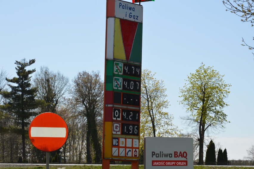 Zobacz ceny paliw w Żarach, Żaganiu i Szprotawie. 
Szprotawa...