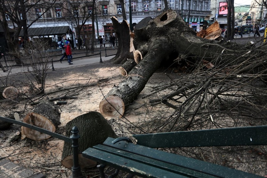 Służby ostrzegają przed bardzo silnym wiatrem, który może...