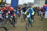 MTB Pomerania Luzino 2019 z rekordową liczbą uczestników! [ZDJĘCIA, WYNIKI]