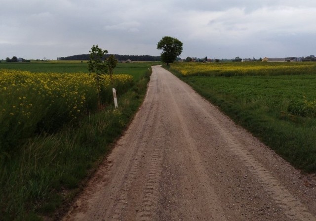 Zarząd Dróg Powiatowych w Inowrocławiu informuje, że zakończone zostały prace związane z profilowaniem i zagęszczaniem dróg gruntowych.