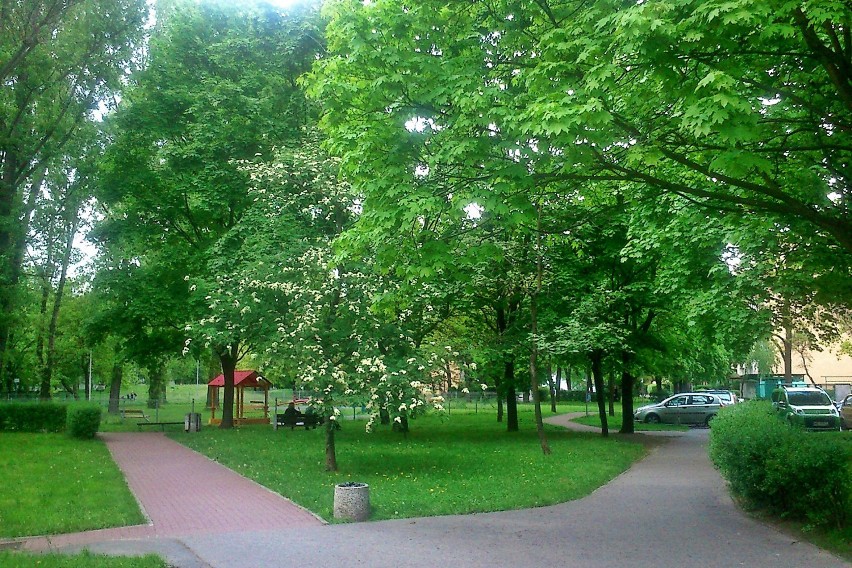 Stegny-Północ. Wiosna 2014 r.