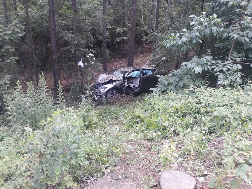 Śmiertelny wypadek w Łośniu. Kierowca bmw uderzył w drzewo, zginął na miejscu. [ZDJĘCIA]