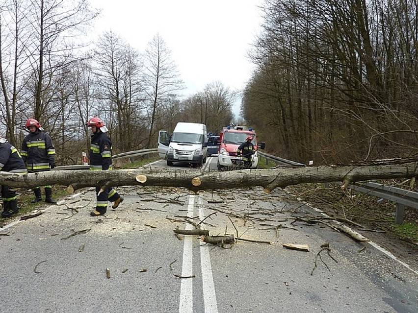 Wypadek w Wiśniowej. Drzewo przewróciło się na samochód