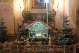Szopki bożonarodzeniowe w Kaliszu. Tak wyglądają żłóbki w kościołach w śródmieściu. ZDJĘCIA, WIDEO