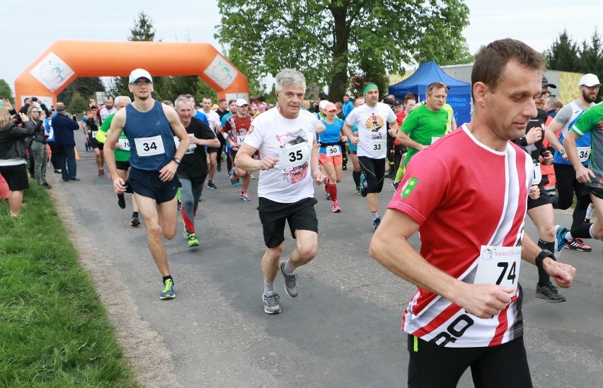 W biegu wystartowało 116 zawodników z zachodniej Polski.