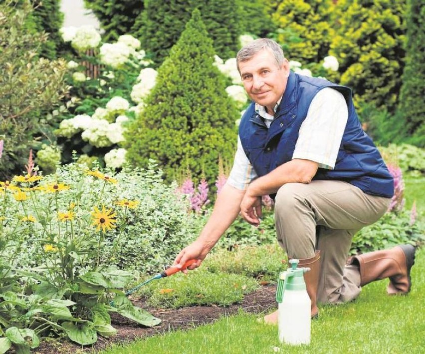 Jak przerobić ogród, aby stał się mniej pracochłonny dla seniora
