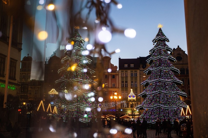 Choinka na wrocławskim Rynku rozświetlona 03.12.2021