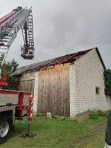 Po wichurze zniszczenia w powiecie opoczyńskim. Strażacy usuwali skutki wczorajszej burzy kilka godzin [ZDJĘCIA]