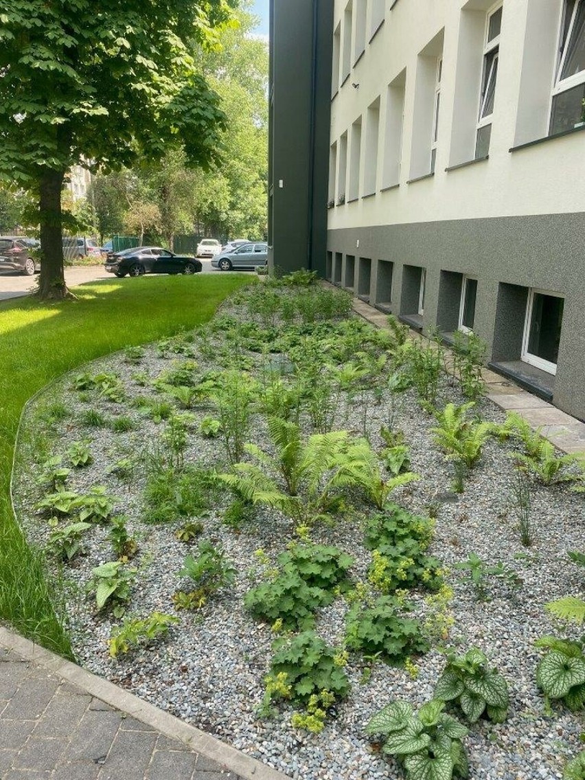 Przy budynku powstał - kolejny już w Krakowie - ogród...