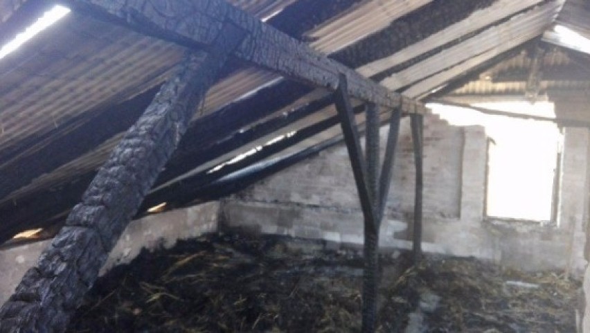 Dom Zofii Cabel z Bukowej spłonął. Pomóżmy go odbudować!