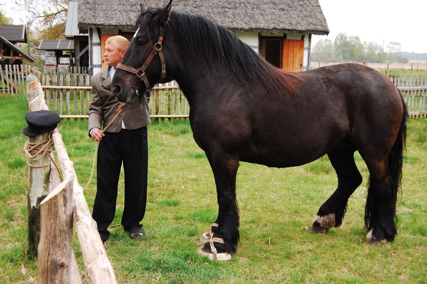 Koń w butach, kostki torfu, czyli Czarne Wesele w Klukach