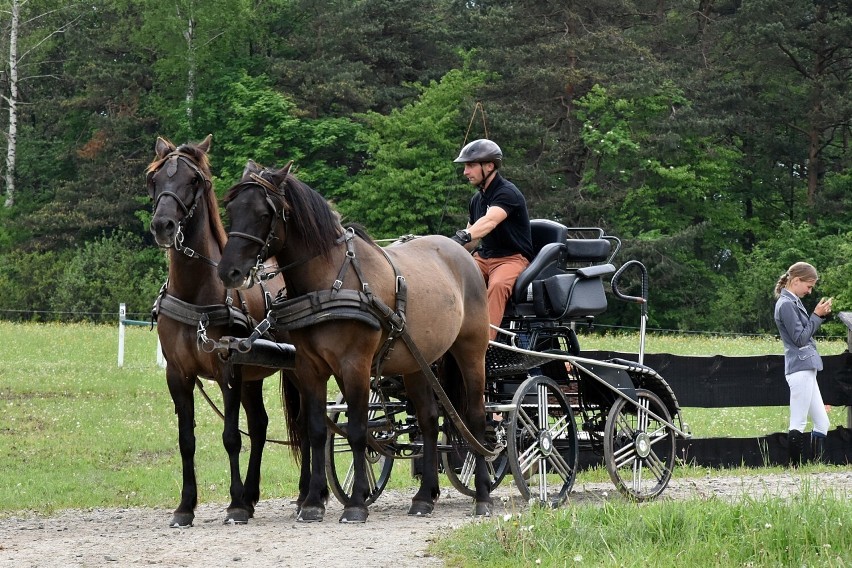 Majówka w Regietowie 2023