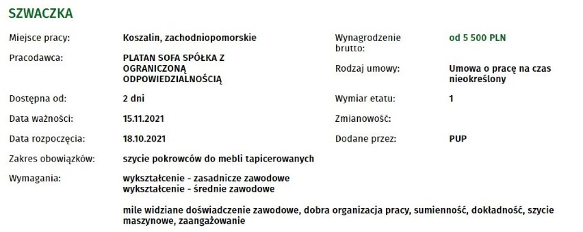 Praca w Koszalinie. Sprawdź nowe ogłoszenia. Kogo poszukują pracodawcy?