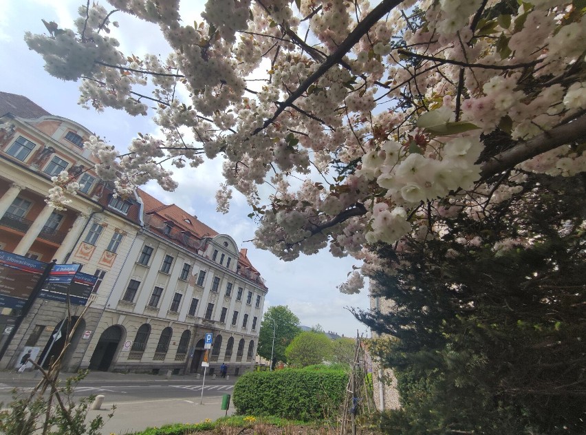Najkrótsze ulice w Wałbrzychu: Ulica Drohobycka - mało kto ją zna, ale wszyscy tam byli! Zdjęcia