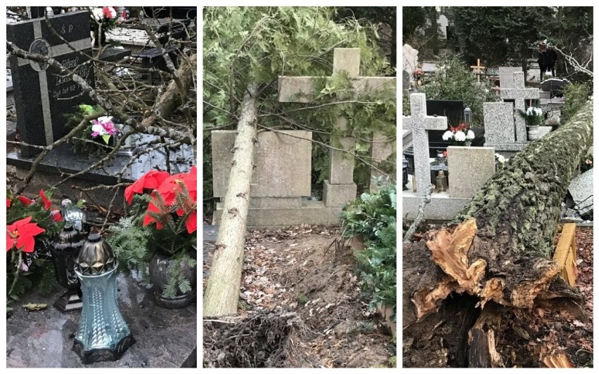 Powalone drzewa zniszczyły nagrobki na Starym Cmentarzu w...