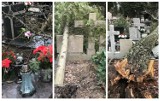 Tak wygląda Stary Cmentarz w Słupsku po przejściu wichury. Powalone drzewa i zniszczone nagrobki!
