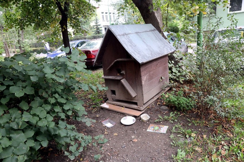 Na podwórku ulicy Plutona jest domek dla kotów