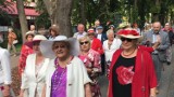 Seniorzy świętują w Busku-Zdroju. Niezwykły marsz kapeluszowy - ale to było widowisko! (ZDJĘCIA)