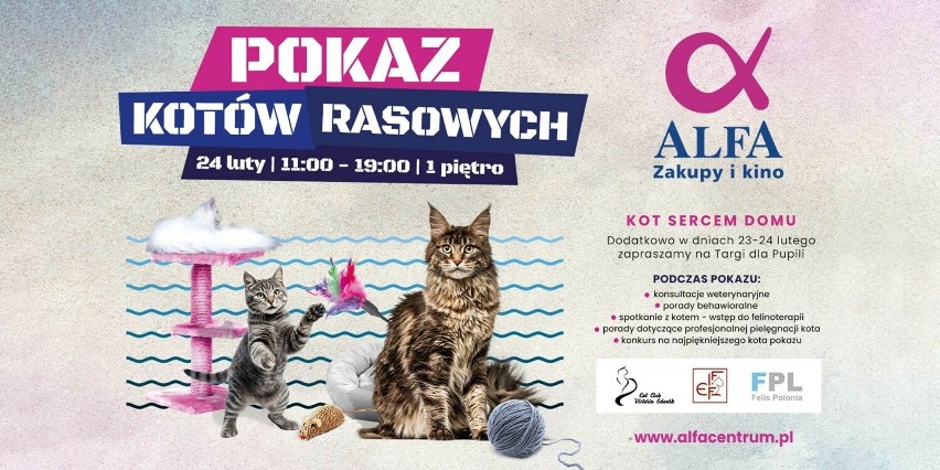 Pokaz Kotów Rasowych i kocie targi w ALFA Centrum Gdańsk - Galerii Alternatywnej