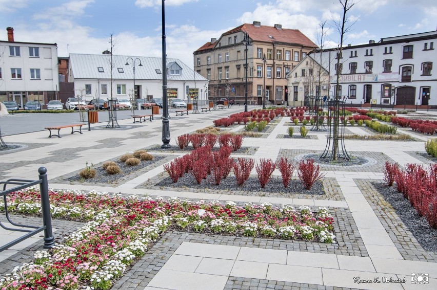 Wiosenny Plac Powstańców Wielkopolskich w obiektywie Romana Urbaniaka [ZDJĘCIA]