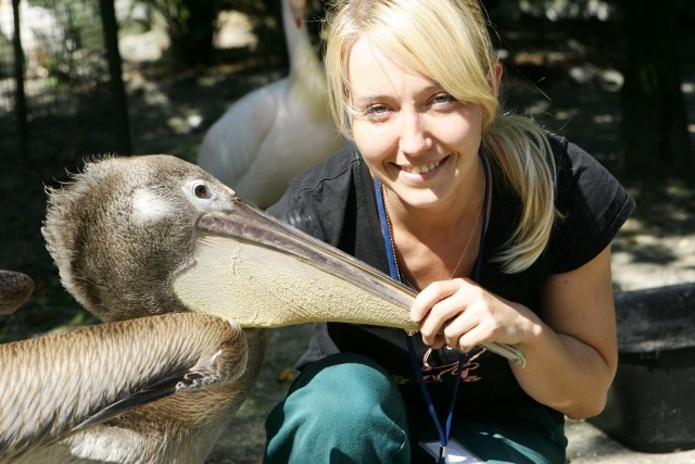 Agnieszka Ochmańska (2 lata w zoo), jest chyba jedyną w Polsce kobietą, która odchowała pelikana. Teraz Pelusia uważa ją za swoją mamę, którą wita wesołym krzykiem.