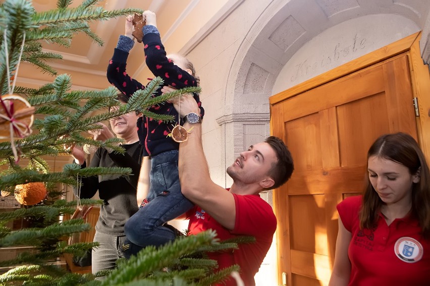 Przedszkolaki stroiły choinki w Urzędzie Miejskim. Pomagali im piłkarki i piłkarze ręczni [ZDJĘCIA]