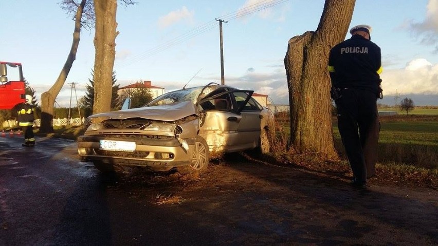 Wypadek w Szczepankach. Samochód uderzył w drzewo [zdjęcia]
