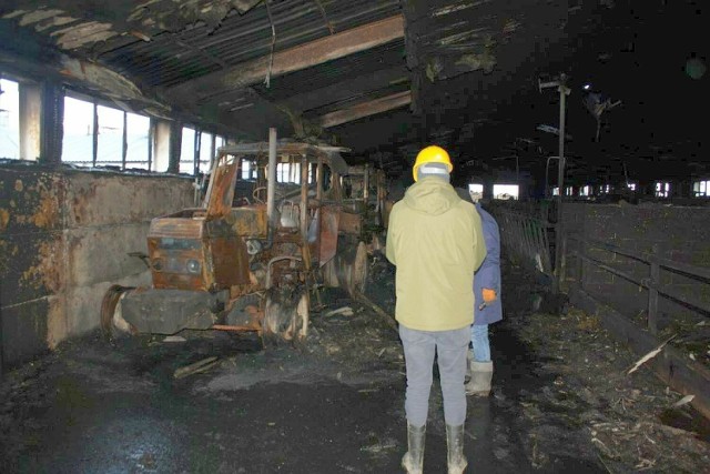Wnętrze spalonego budynku inwentarskiego w podmogileńskich Bielicach