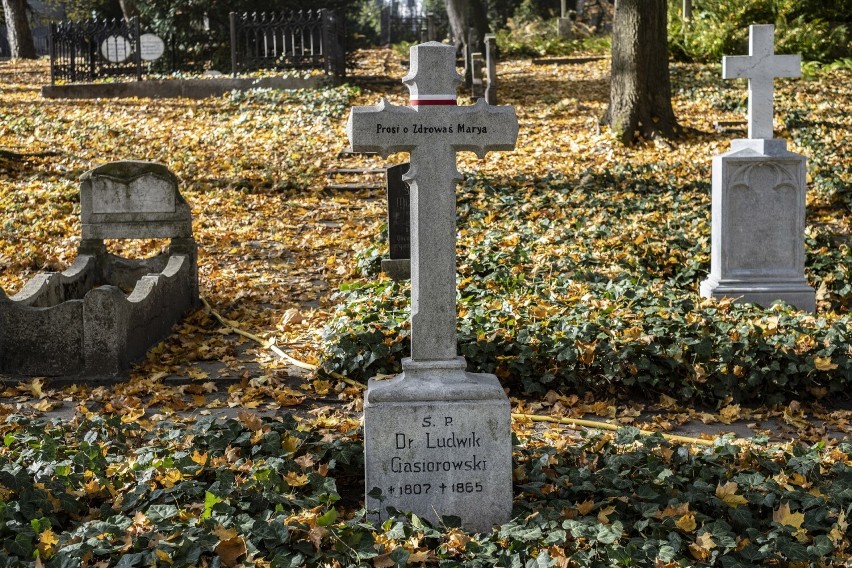 Cmentarz Zasłużonych Wielkopolan to jedna z najstarszych...