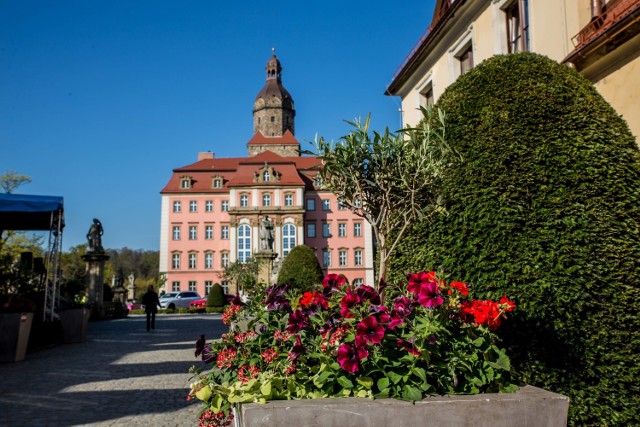 Zakochaj się w książańskiej wiośnie!  W tym roku zamek zamieni się w prawdziwy „Tajemniczy ogród”, gdzie zachwyci Was bogactwo natury. Będzie więcej bitew florystycznych i występów artystycznych, dziedziniec zapełni się od kwiatów i leśnych stworzeń. Spędźcie ten weekend majowy w Zamku Książ, najpiękniejszym miejscu na ziemi, i bawcie się z nami podczas XXIX Festiwalu Kwiatów i Sztuki!

Na Dziedzińcu Honorowym staną kilkumetrowe konstrukcje florystyczne wykonane przez samego Tomasza Kuczyńskiego, florystycznego Mistrza Polski oraz zdobywcy czwartego miejsca na Europa Cup 2016 w Genui (Mistrzostwa Europy we Florystyce). Cokolwiek „wyczaruje” ten mistrz florystyczny, z pewnością wzbudzi prawdziwy zachwyt.

Sztandarową atrakcją festiwalu są aranżacje florystyczne w zamkowych wnętrzach. Przez 4 dni, 30 utalentowanych florystów ze Stowarzyszenia Florystów Polskich będzie tworzyć niezwykłe kompozycje kwiatowe specjalnie dla gości wydarzenia. Tegorocznym motywem festiwalu został „Tajemniczy ogród” i właśnie on powstanie w książańskich salach. 

Kto myśli, że florystyka jest spokojną dziedziną sztuki, musi zobaczyć „Bitwy florystyczne”, które w tym roku będą się odbywać aż trzy razy dziennie! Dwie drużyny, rywalizacja, adrenalina i różne kategorie tematyczne to nasz przepis na prawdziwe show. Publiczność oklaskami wybierze zwycięzcę! Dostarczymy Wam emocji, inspiracji i… zabawy!

W Książu wiemy jak wiele energii mają w sobie najmłodsi i właśnie dlatego przygotowaliśmy dla nich szereg propozycji. Mali artyści z pewnością będą chętnie uczestniczyć w warsztatach florystycznych, podczas których stworzą własne kwiatowe kompozycje pod okiem nagradzanych mistrzów. Przewidzieliśmy również słodkie konkursy z nagrodami od mecenasa zamku, Śnieżki-Invest. W naszym „Tajemniczym Ogrodzie” będzie mnóstwo leśnych stworzeń, które będą się pojawiać naprawdę często.

W  zamku kochamy kwiaty, dlatego już po raz trzeci odbędą się tu III Krajowe Florystyczne Mistrzostwa Regionu Dolnośląsko-Lubuskiego.

Dla zafascynowanych Dalekim Wschodem zaplanowaliśmy podróż do Kraju Kwitnącej Wiśni. W Sali Balowej odbędzie się największa w Polsce Narodowa Wystawa Bonsai, zaprezentowane zostaną unikalne Zbroje Japońskie oraz Wystawa Suiseki. Będziecie mogli podziwiać miniaturowe drzewka, odkryć piękno ukryte w kamieniach oraz docenić detale i kolorystykę samurajskich strojów. 

Jak każdego roku do zamku przybędzie również ponad 250 wystawców, a wraz z nimi wielu ogrodników, rękodzielników, jubilerów i gastronomów.

Już po raz 29 wiosna obudzi się w Zamku Książ. Witajcie ją z nami od 29 kwietnia do 3 maja i zaplanujcie najbliższy weekend majowy w Wałbrzychu.