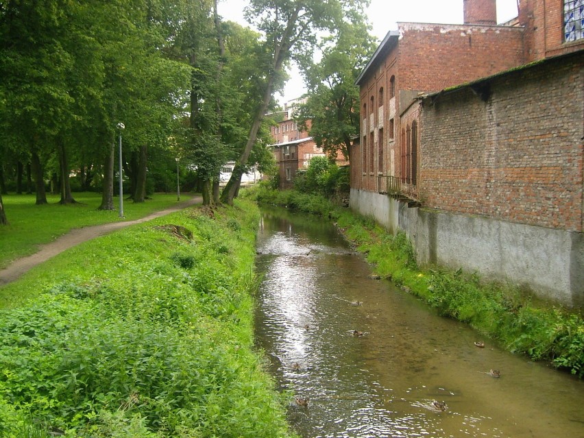 Sławieńska "Wenecja". Nad rzeką Moszczenicą. Fot. Zdzisław...