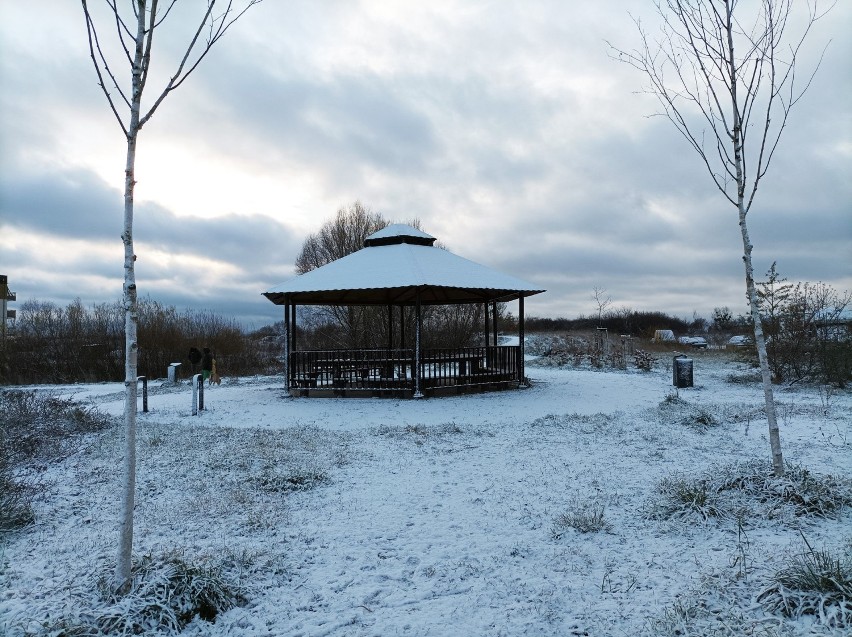 Pierwszy śnieg w Gdańsku, 30.11.2021