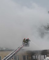 Malbork. Pożar w zakładzie biopaliw przy ul. Dalekiej [ZDJĘCIA, FILMY]. Oświadczenie spółki: "Nie ma zagrożenia"