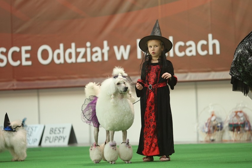 Sabat Łysa Góra Show na Międzynarodowej Wystawie Psów Rasowych w Targach Kielce. Niezwykłe widowisko i przerażające przebrania