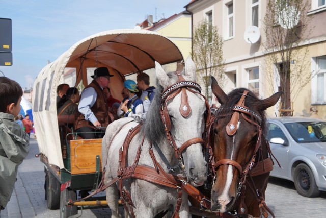 Festyn ekologiczny w Kórniku 2015